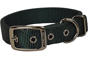 Hamilton Thick Nylon Deluxe Dog Collar, 1-Inch by 24-Inch Double, Dark Green