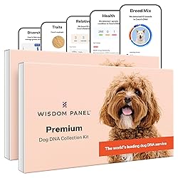 Wisdom Panel Premium Dog DNA Kit: Most