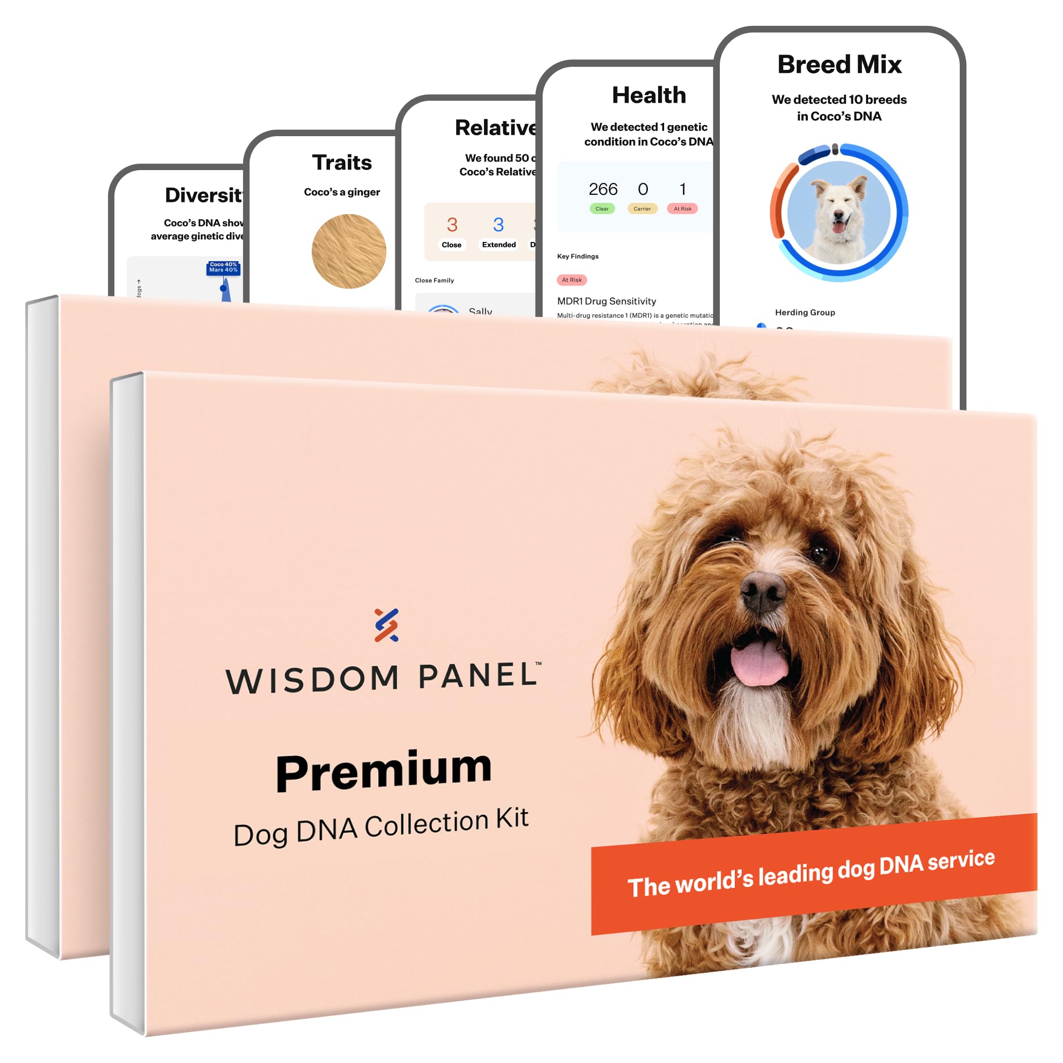 Wisdom Panel Premium Dog DNA Kit: Most