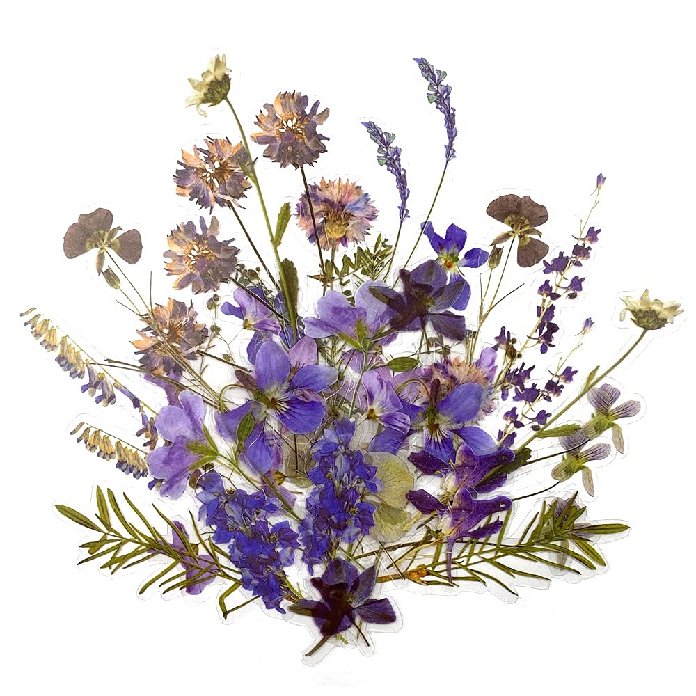 LELE LIFE 160Pcs Plant Scrapbook Stickers, Transparent Flowers Stickers Set, Flower Scrapbooking Stickers for Phone, Pad, Laptop, Album, Planner, Diary, Style D