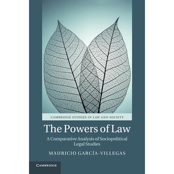 Amazon.com: Novel Judgements: Legal Theory as Fiction (Discourses