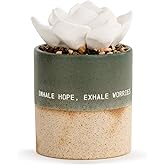DEMDACO Succulent Oil Diffuser, Sage Speckled Green, Stoneware, 3 x 5 in | Quiet Moments Collection, Decorative Diffuser for Essential Oil, Mindfulness and Peaceful Living, Soothing Spa Style