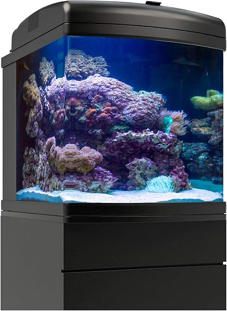 nano cube fish tank