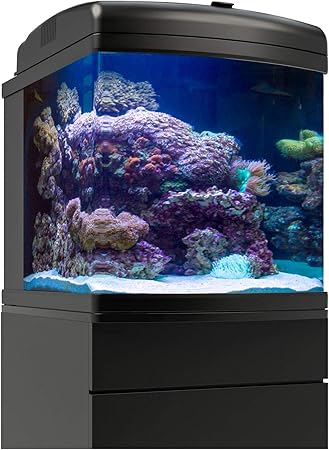 nano cube aquarium