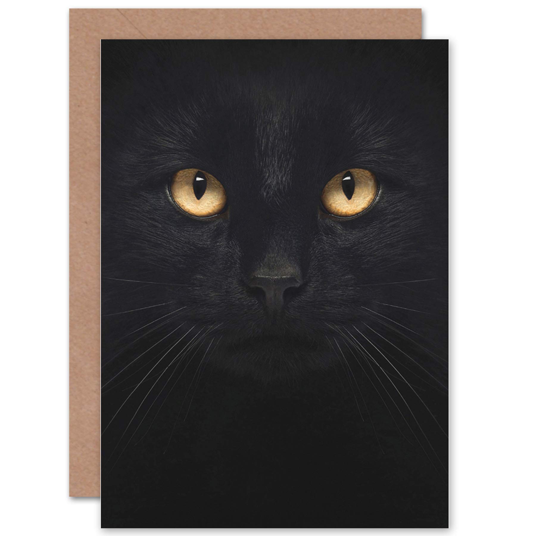 Black Cat - Close Up Photo Sealed Greeting Card Plus Envelope Blank inside