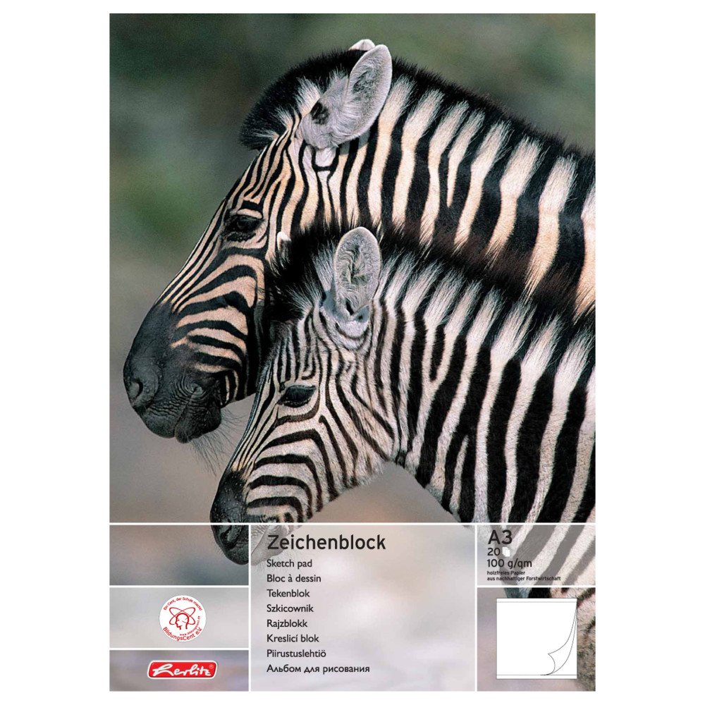 Herlitz 494310 PIVODEX Plastic Wall Bracket Set and Straps Black