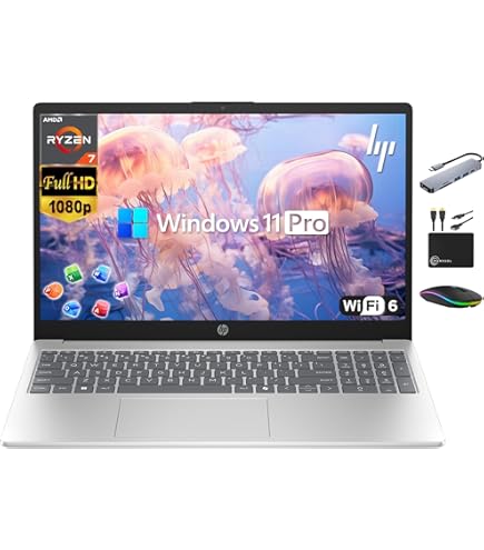 Amazon.com: HP 255 G10 15.6
