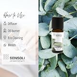 Sensoli Eucalyptus Essential Oil 10ml 100% Pure Eucalyptus Globulus Amber view 5
