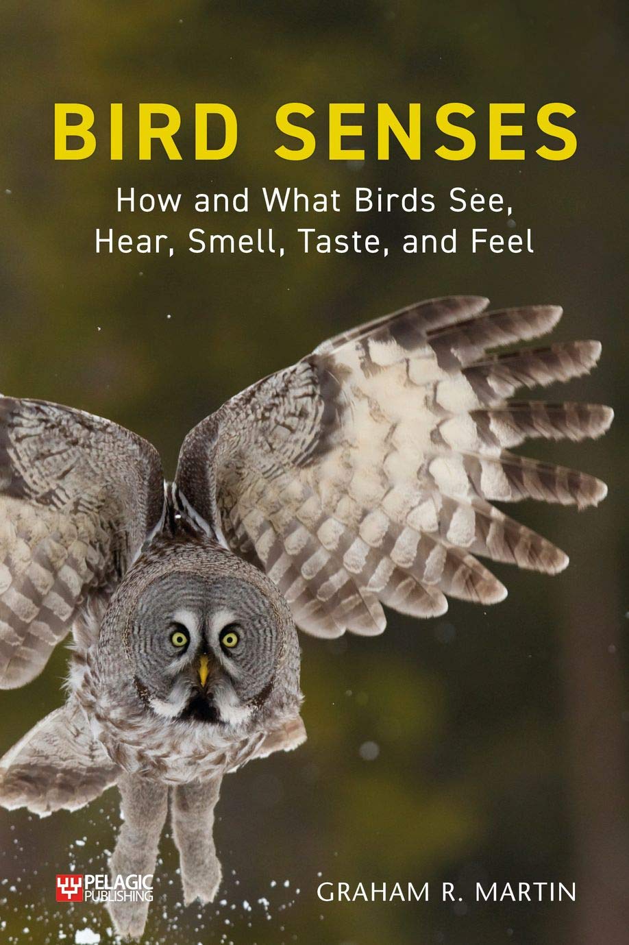 Bird Senses: How and What Birds See, Hear, Smell, Taste and Feel (Pelagic Monographs): How What Birds See, Hear