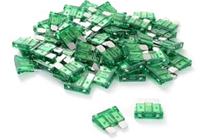 GOODSEN (60Pcs) 30 Amp Standard Car Fuses, 30A Automotive Fuses, Automotive Replacement Fuses(ATO/ATC), Blade Fuse for Car/RV/Truck/SUV/Motorcycle/Boat