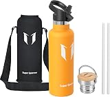 Super Sparrow 750ml Stainless Steel Vacuum Insulated Water Bottle