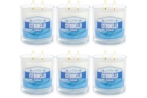 FEIBAO 6 Pack Citronella Candles Outdoor, 2 Wick Large Scented Citronella Candles Set, 60 oz 450H Burn Citronella Candle Essential Oils and Natural Soy Wax for Summer Garden Yard Balcony Camping Backyard