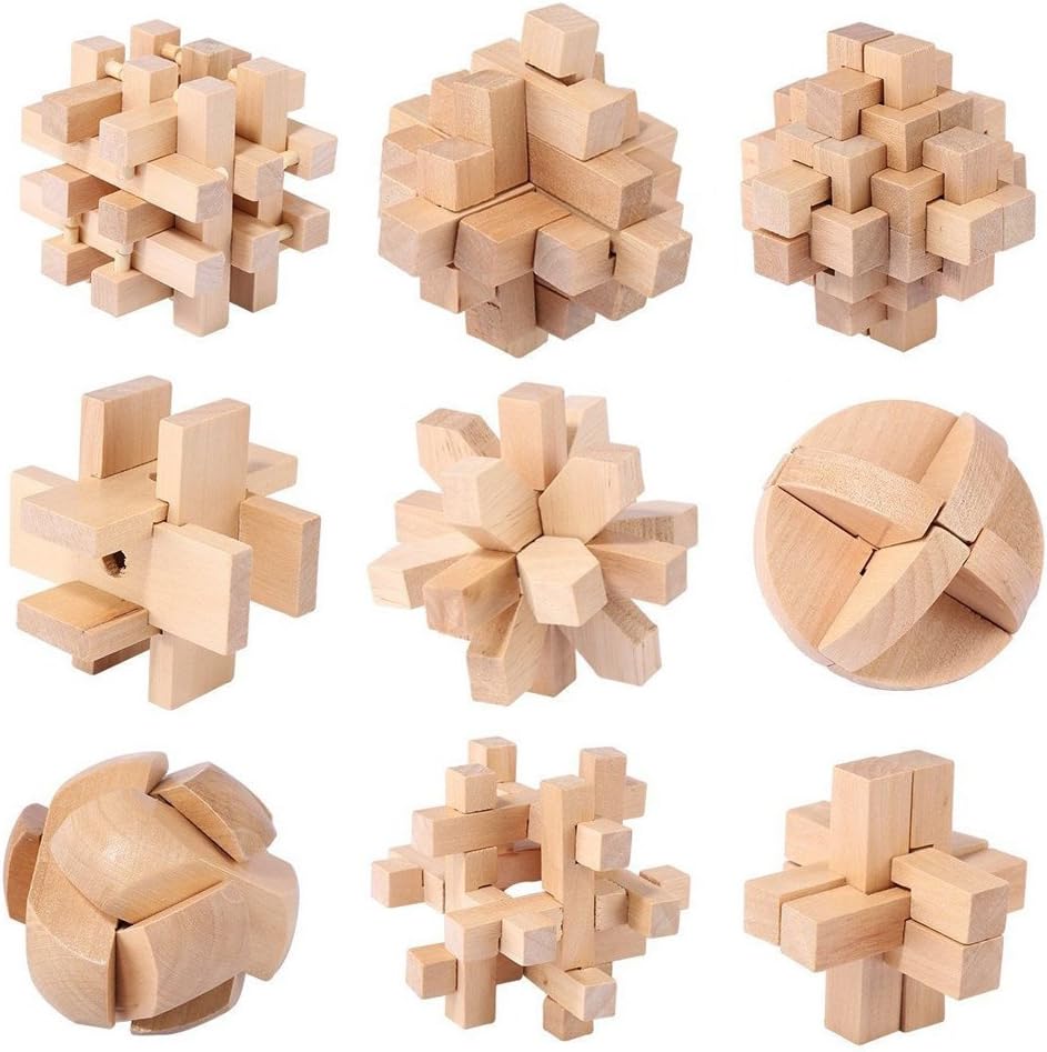 brain benders wooden puzzles