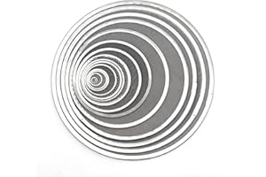 TAMSOI 304 Stainless Steel Wire Mesh Filter Disc Flat Round Shape Woven Wire Mesh Screen Strainer Various Size (20mm(30 Mesh) 5pcs), Silver