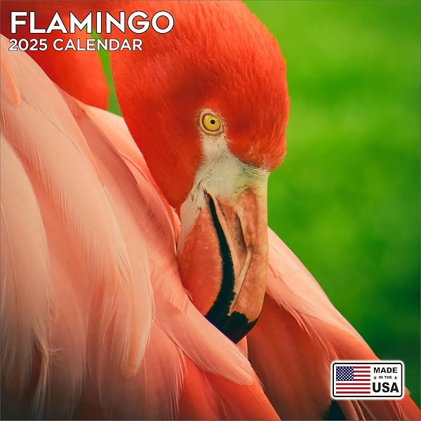 2025 Flamingo Calendar - Dog Breed Wall Calendar - 12 x 24 Open - Thick No-Bleed Paper - 14 Month Planner Calendar Organizing & Planning: MegaCalendars: 0655255028448: Amazon.com: Books 2025-flamingo-calendar-dog-breed-wall-calendar-12-x-24-open-thick-no-bleed-paper-14-month-planner-calendar-organizing-planning-megacalendars-0655255028448-amazon-com-books