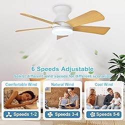 Depuley Modern Ceiling Fan with Light: 35-Inch