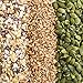 Chicken Chew: Non GMO, No Corn, No Soy All Natural Whole Grain Layer Feed Plump Pumpkin Flavor With Organic Raw Pepitas