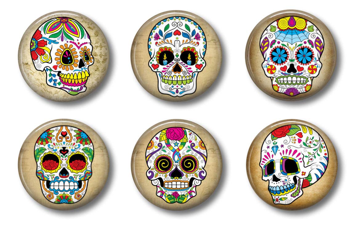 Which Is The Best Sugar Skull Magnets For Refrigerator