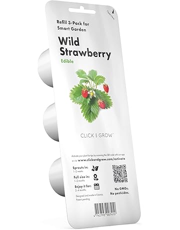 Amazon.es: Semilleros - Invernaderos y equipos de germinación: Jardín