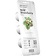 Click and Grow SGR24x3 Smart Garden Wild Strawberry Plant Pods, 3-Pack