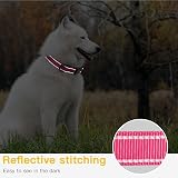 HEELE Reflective Dog Collar Nylon Neoprene Padded XS Rose 20-30cm view 6