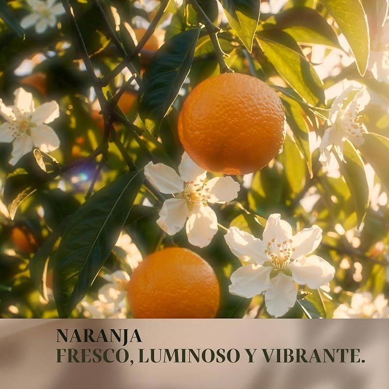 Velvet Whisper Eau de Parfum 75 ml – Perfume Fresco para Mujer con Mandarina y Azahar – Fragancia Floral, Ligera y Suave — foto 5 de 7