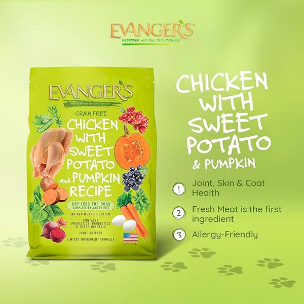 EVANGER’S GRAIN FREE CHICKEN WITH SWEET POTATO & PUMPKIN DRY FOOD FOR DOGS – 16.5 LB BAG – DEBONED CHICKEN, OMEGAS 3 & 6, PROBIOTICS – ALL LIFE STAGES FORMULA
