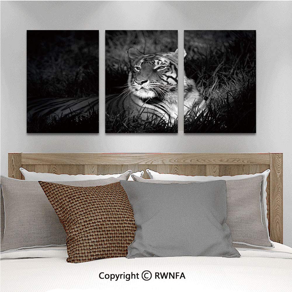 3pcs/Set Oil Painting Wall Art Bengal Tiger Lying in Grass Africa Savannah Monochrome Image Decorative Cubism Printed on Canvas Picture Modern Art for Home Decoration 13.8x19.7inch,Black White