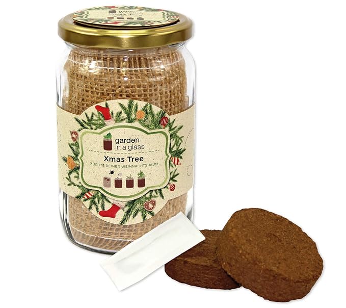 Feel Green Garden In A Glass-Anzuchtset, Weihnachtsbaum, Pflanzen Aus Dem Einmachglas & Graspapier, Geschenkidee, Plastikfrei, Made In Austria