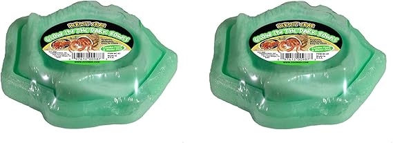 hermit crab ramp bowl