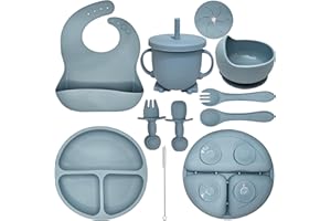 HippoBaby Baby Led Weaning Supplies | 10 Piece Silicone Baby Feeding Set | Baby Toddler Bib Cup Divided Plate and Bowl Self Feeding Spoons Dish Set | Baby Utensils | Toddler Feeding Supplies (Sky)