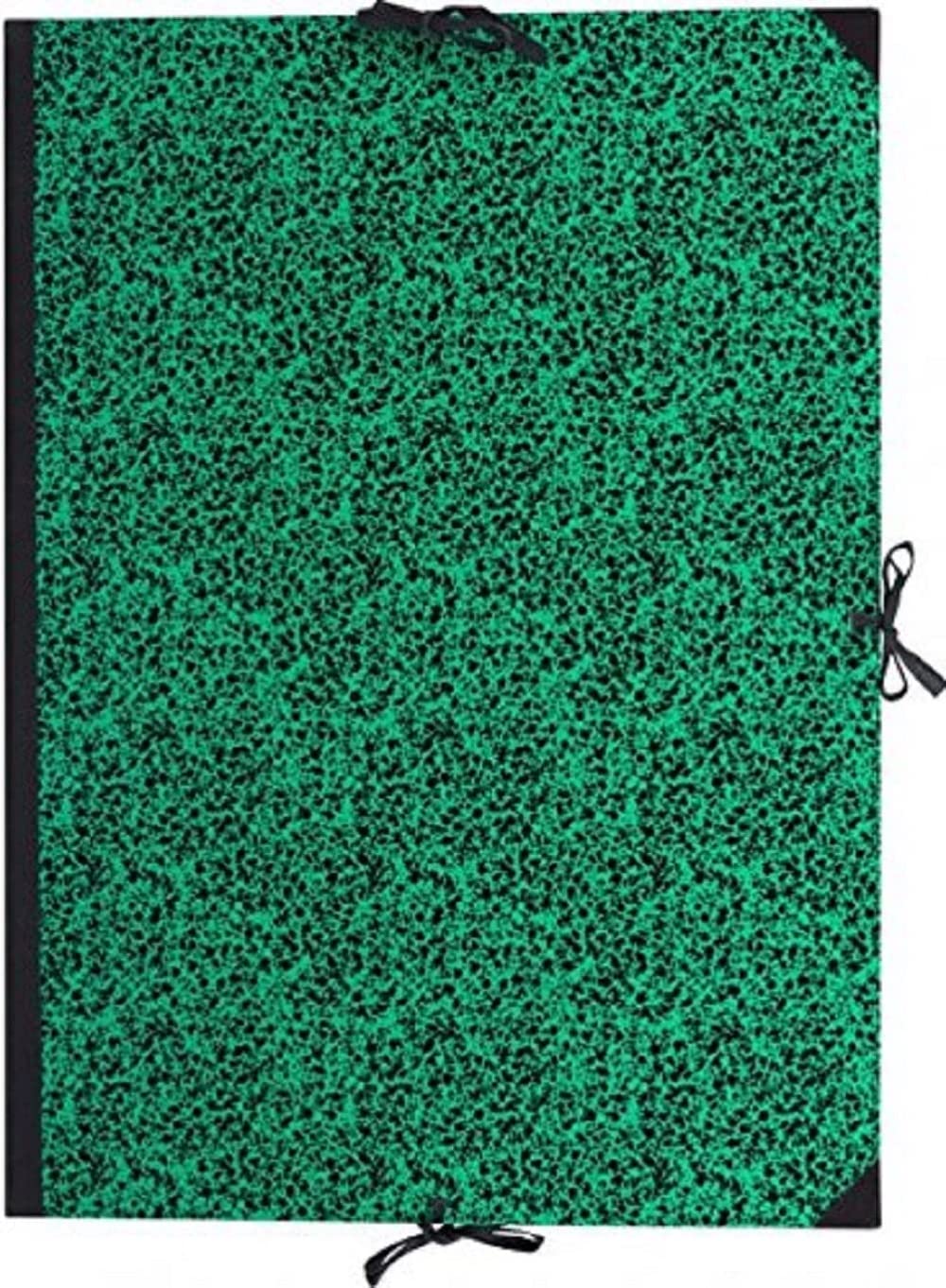 Lefranc & Bourgeois 522001 Heavy-Duty Sketch and Drawing Folder Green/Black 120 x 80 cm Green