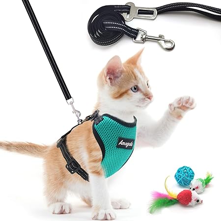 kitten harness pets at home