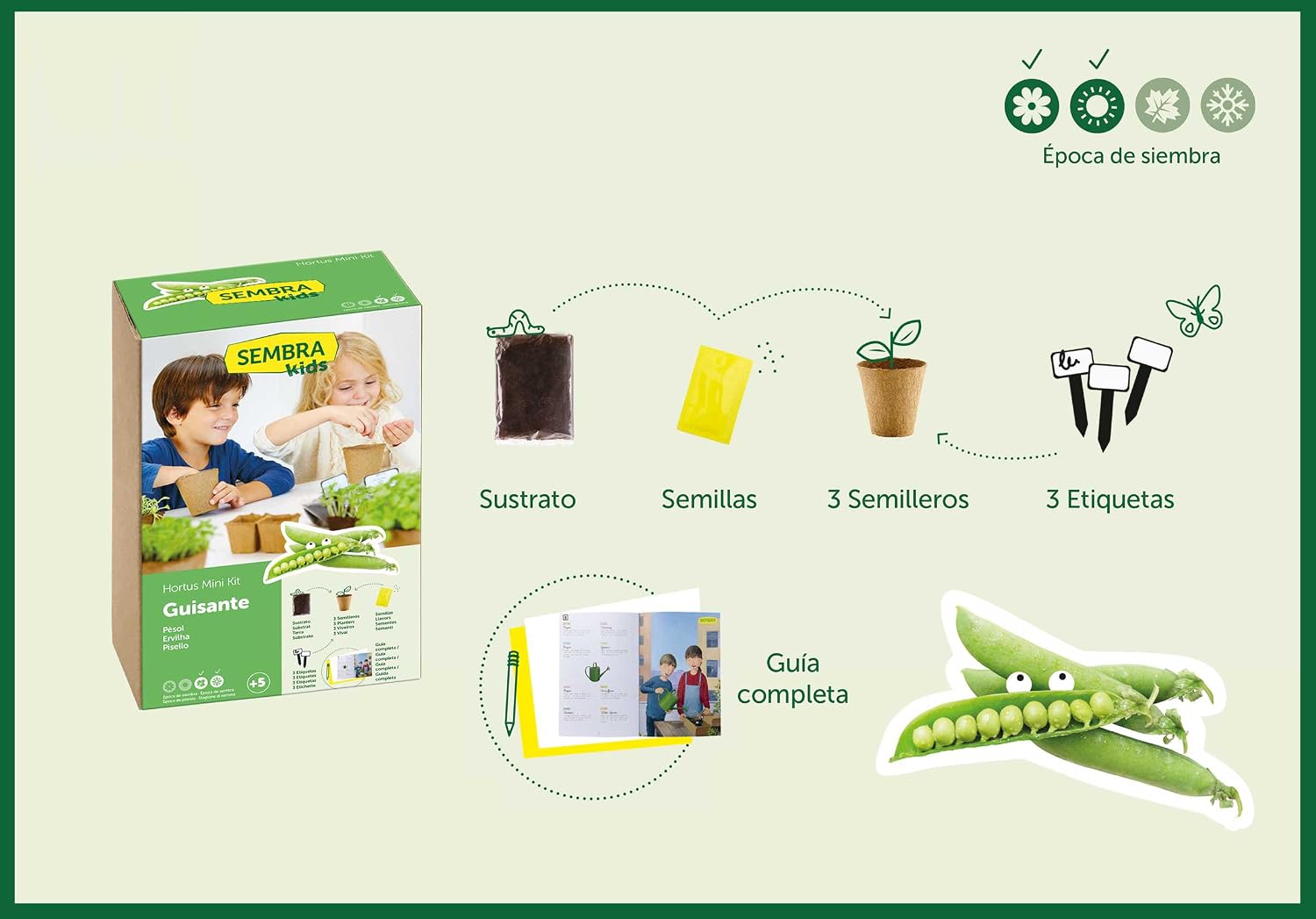 SEMBRA - juego educativo, Kit huerto Guisante: Amazon.es: Jardín