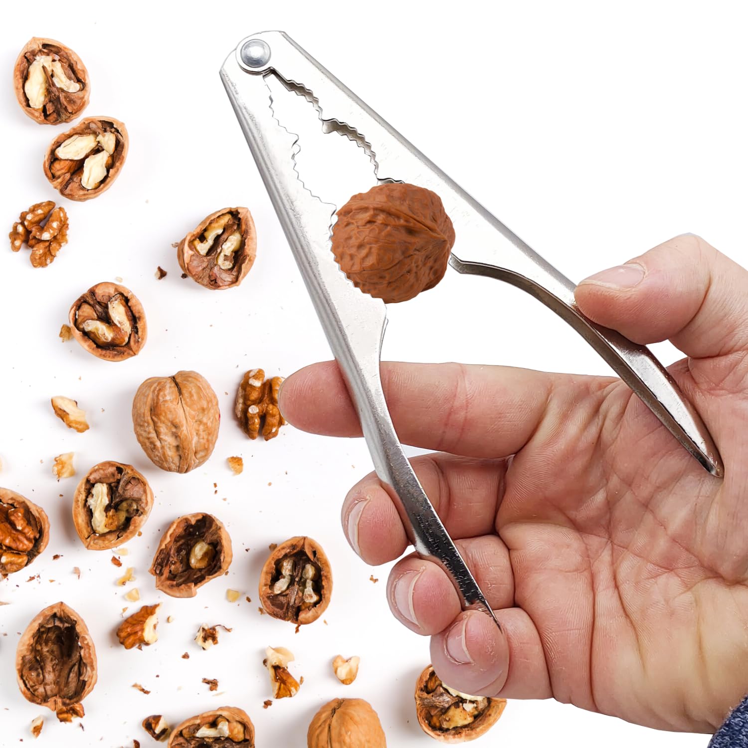 Leddy Living Traditional Metal Non Slip Nutcracker for Nuts, Almonds, Hazelnuts, Seafood, Crustaceans, Nutcrackers, Nutcrackers