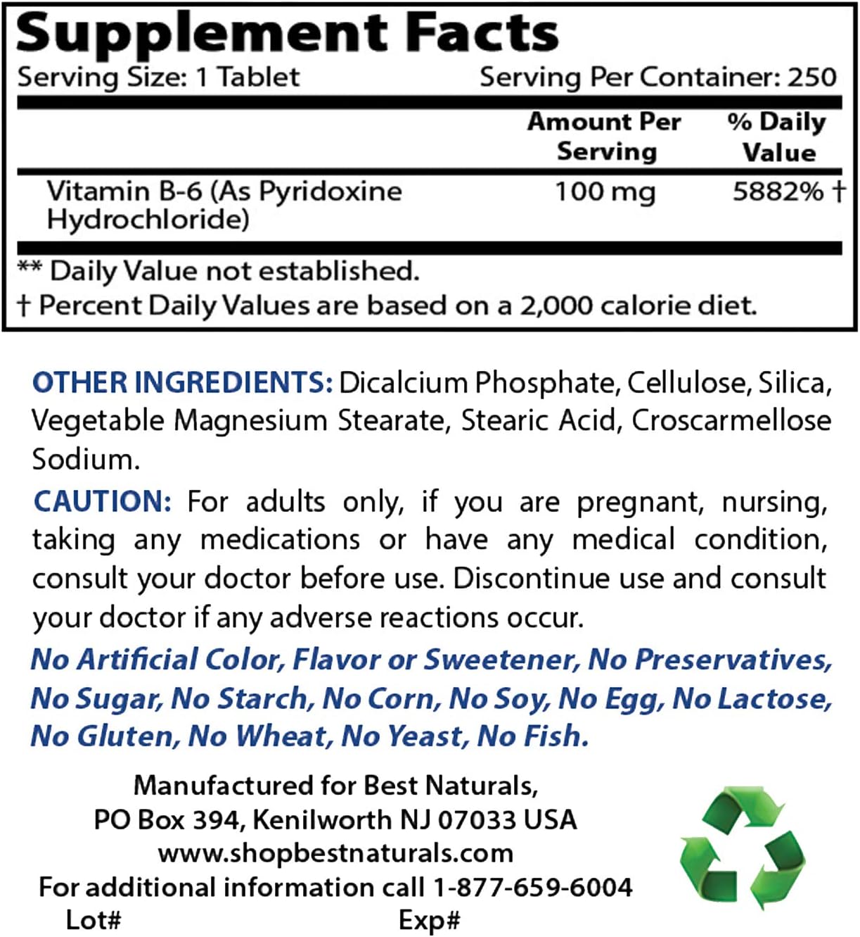 Best Naturals Vitamin B6 Tablet, 100 mg, 250 Count: Health & Personal Care