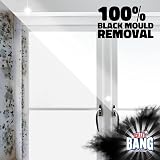 Cillit Bang Black Mould Remover Spray 750ml - Pack of 3, Mould & Mildew view 2