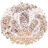 PH PandaHall 460pcs Natural Spiral Shell Beads, 7~20mm 6 Styles Small Seashells Undrilled Ocean Spiral Seashells Miniature Shells for DIY Jewelry Craft Wedding Decor Fish Tank Vase Filler, No Hole