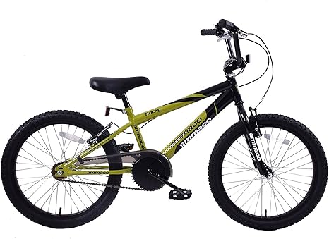 18 wheel bike age