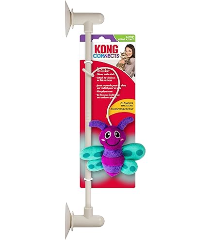 Amazon.com : KONG Company 38744005: Bat-A-Bout Vibez Roller