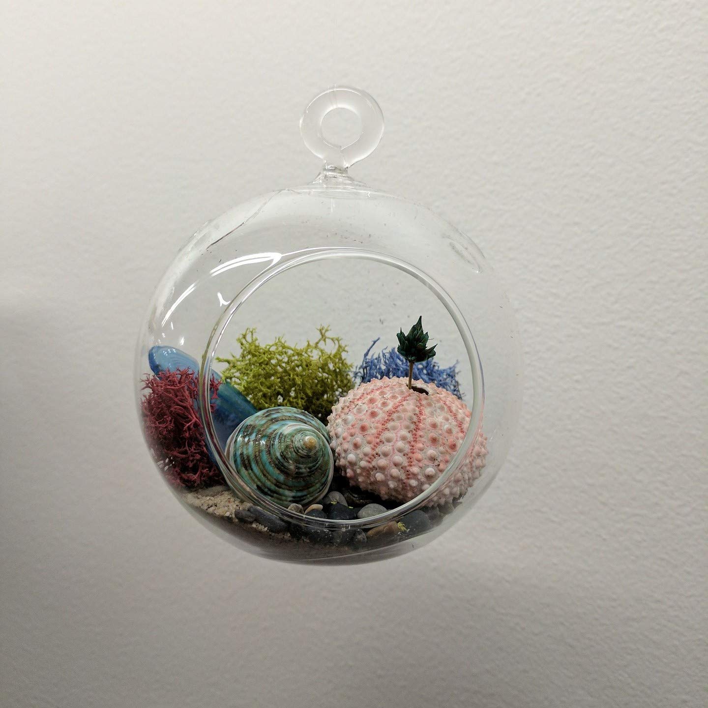 View 7