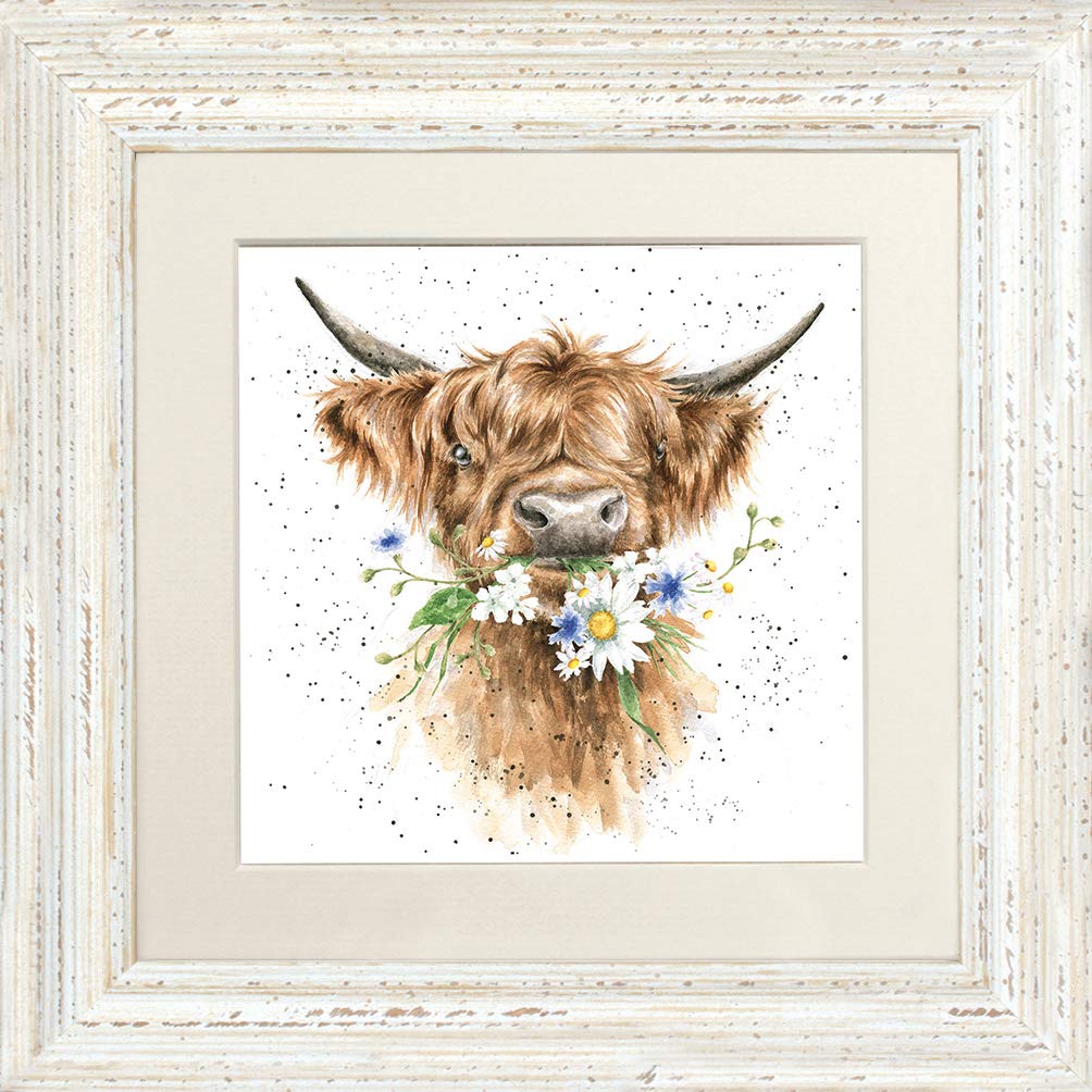 Wrendale Designs - 'Daisy Coo' Framed Card - White