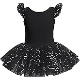 Kid Girls Classic Ruffle Sleeve Ballet Skirted Leotard Shiny Dance Tutu Dresses Ballerina Costume
