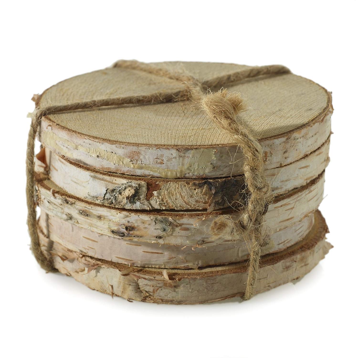 White Birch Coasters Modern Rustic Coasters Wood Slice