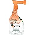 TropiClean Max Strength Flea and Tick Treatment Spray for Yard, Safe Prevention Around Kids & Pets, Powerful & Natural Defense, Made in USA, 32oz