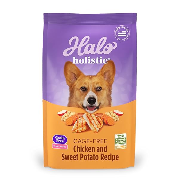 HALO HOLISTIC SMALL BREED DOG FOOD, CAGE FREE CHICKEN & SWEET POTATO RECIPE, GRAIN FREE DRY DOG FOOD, COMPLETE DIGESTIVE HEALTH, 3.5 LB BAG