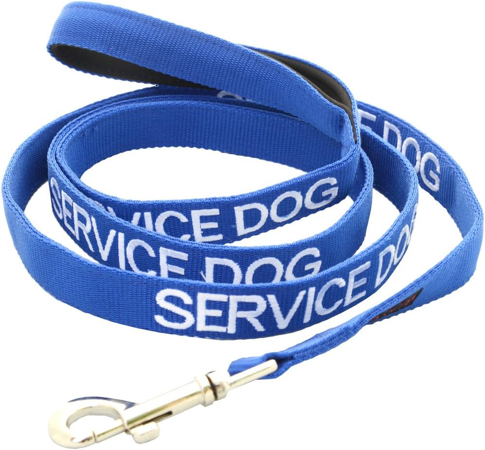 Dexil SERVICE DOG (On Duty/Do Not Disturb) Blue Warning Dog Colour Coded Luxury Padded Personalised 1.2m 4ft Lead Leash To Prevent Accidents or Incidents. Dog Award Winning