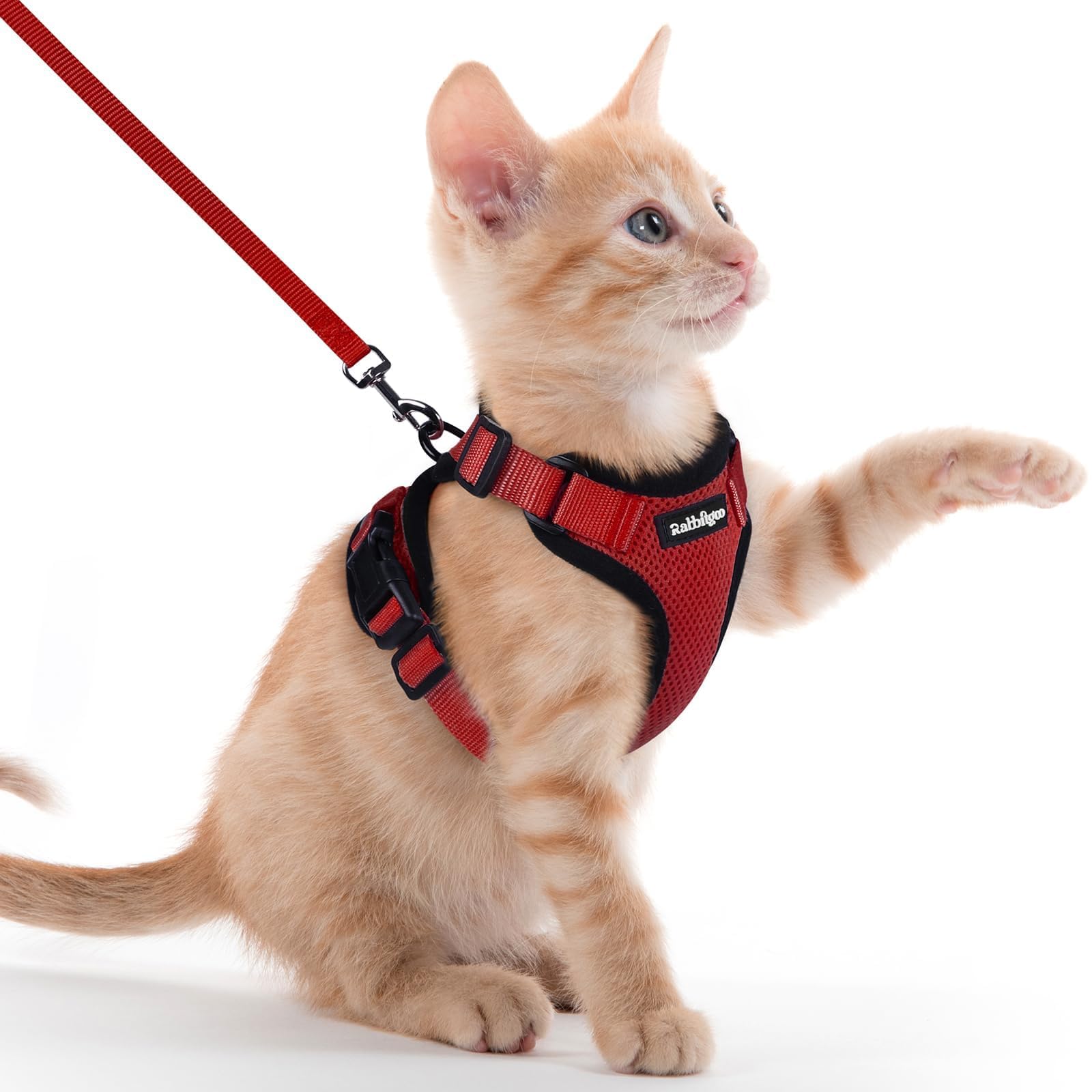 rabbitgoo Cat Harness and Lead Set, Adjustable Escape Proof Cat Lead for Walking, Reflective Kitten Harness Set, Soft and Comfortable for Kittens and Small Cats, Red, XXS