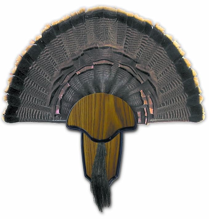Hunters Specialties H.S. Strut Turkey Tail & Beard Mounting Kit Review