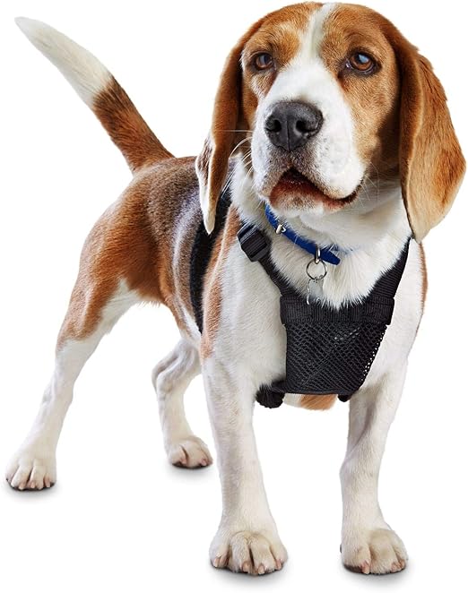 dog possessive of baby